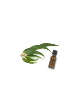 RACINE VITA HUILE ESSENTIELLE D'EUCALYPTUS 10ML