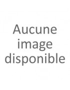 Epaule & Coude