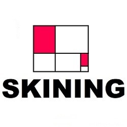 SKINING